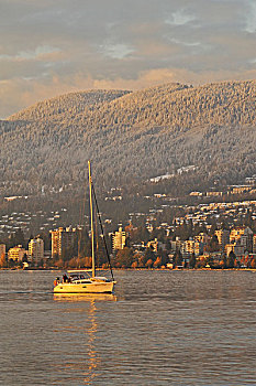 帆船,英吉利湾,看,西部,温哥华,不列颠哥伦比亚省,加拿大