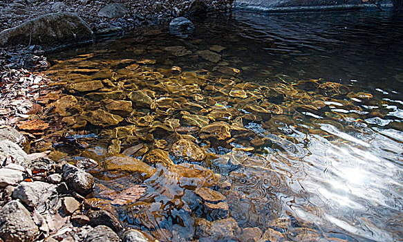 清澈溪水中的石子