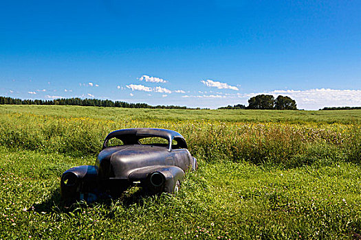 老爷车,土地,公共草地,艾伯塔省,加拿大