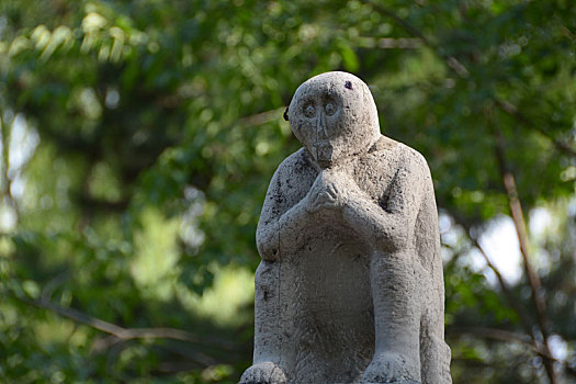 小雁塔,荐福寺,西安博物院