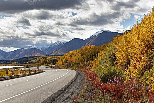 深秋,秋天,海恩斯,道路,阿拉斯加,叶子,秋色,山峦,克卢恩,分界线,山脉,后面,克卢恩国家公园,自然保护区,育空地区,加拿大