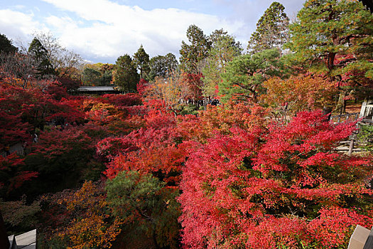 日本京都东福寺