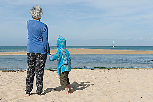 祖母,孙子,站立,一起,海滩,看,船,地平线