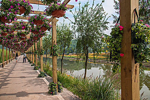 重庆巴南花木世界园林中的花卉长廊