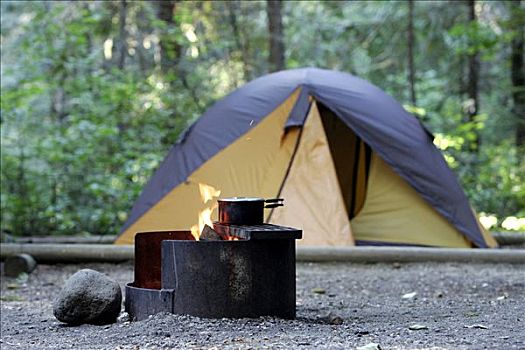 锅,营火,旁侧,帐蓬,不列颠哥伦比亚省,加拿大