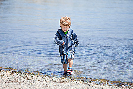 男孩,走,水,岸边,维多利亚,不列颠哥伦比亚省,加拿大