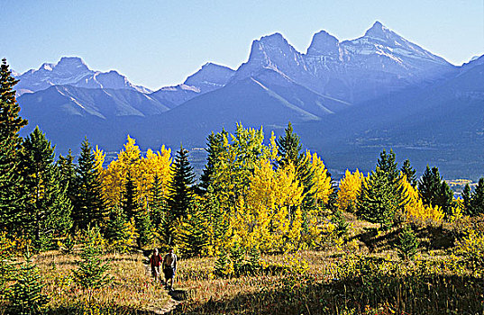 远足者,山,小路,秋色,三姐妹山,背景,艾伯塔省,加拿大