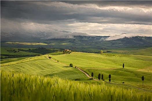 托斯卡纳,风景,农场,靠近,皮恩扎,意大利