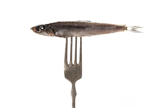 鲜鱼,叉子