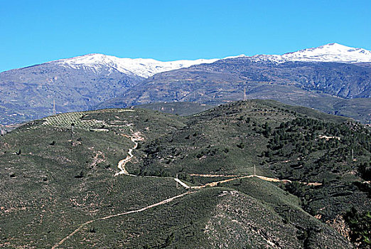 阿普哈拉斯山谷,安达卢西亚,西班牙