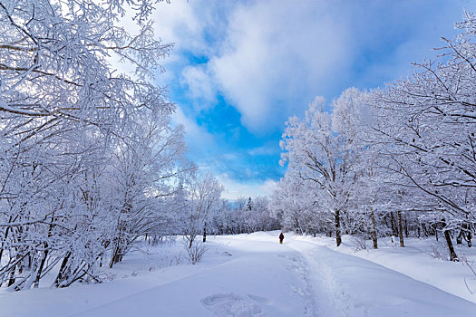 和龙老里克湖冬季,林海雪原