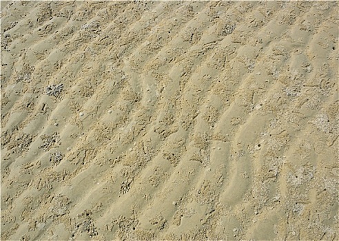 海滩,沙子,波纹