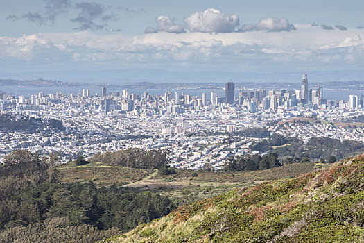 旧金山,天际线,山,州立公园