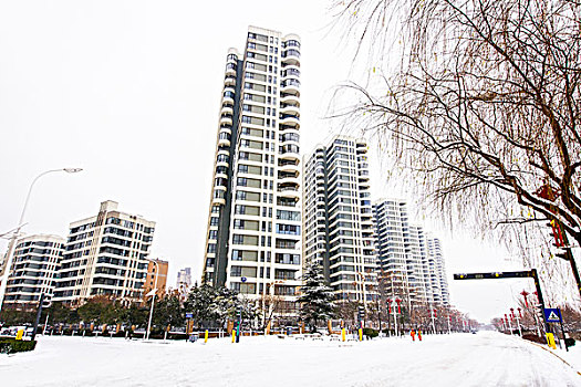 城市雪景