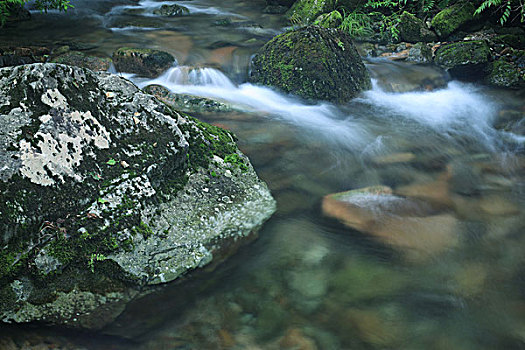 山谷,河流,石头