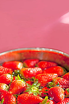 一盆正在清洗中的草莓