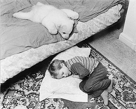 小,北极熊,幼兽,女孩,睡觉,英格兰,英国