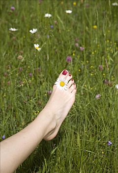 女人,脚,草丛,花