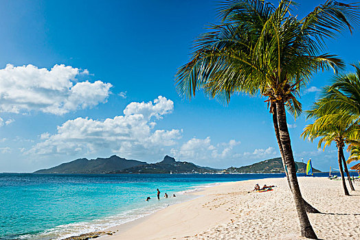 棕榈树,白沙滩,棕榈岛,联合,岛屿,背景,格林纳丁斯群岛,加勒比