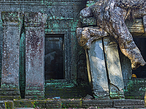 遗址,庙宇,收获,柬埔寨