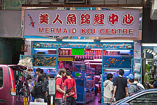 水族箱,街道,香港