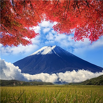 图像,富士山,山