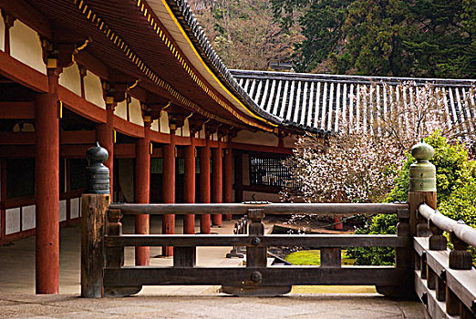 日本寺庙,花园,奈良,日本