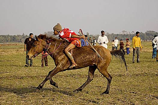 骑师,比赛,终点线,赛马,传统,运动项目,拿,泥,道路,田野,右边,收获,孟加拉,一月,2008年