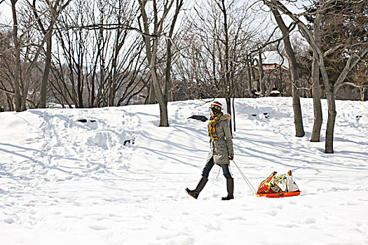 女人,购物袋,雪撬