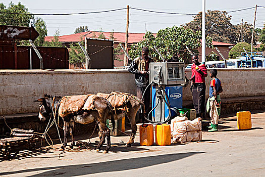 主要街道,裂谷,城镇,埃塞俄比亚,加油站,驴,带来,满,煤油,烹调,加热,非洲