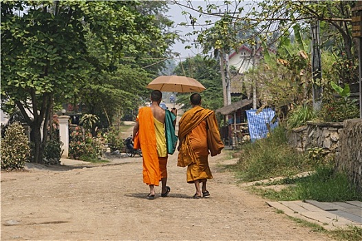 僧侣,伞,琅勃拉邦,老挝
