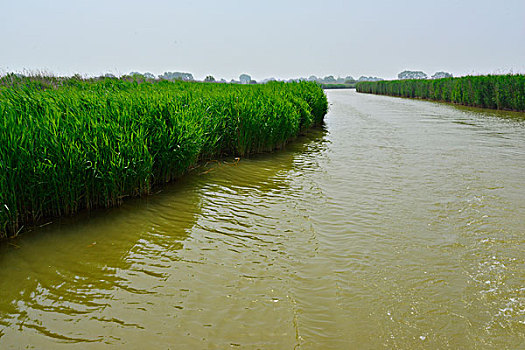 黄河口生态旅游区景色
