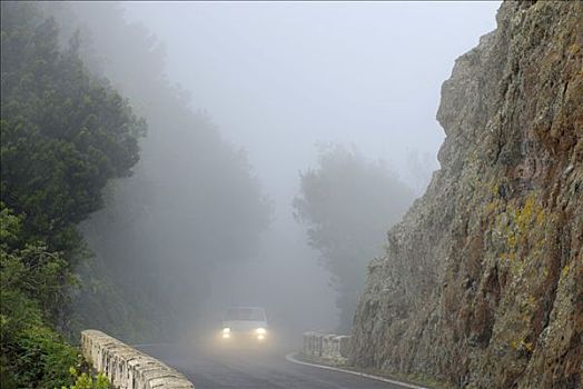 雾状,山路,特内里费岛,加纳利群岛,西班牙