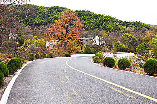 安徽,黄山,黟县,宏村