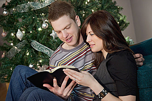 伴侣,读,圣经,圣诞树
