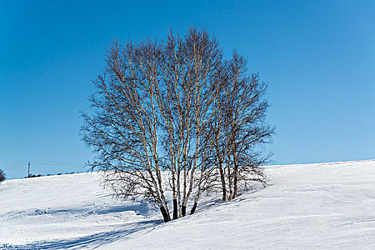 雪坡