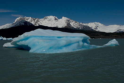 冰山,漂浮,阿根廷湖
