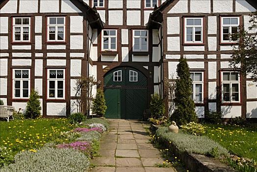 靠近,框架,乡村,北莱茵-威斯特伐利亚,德国