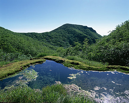 山,水塘