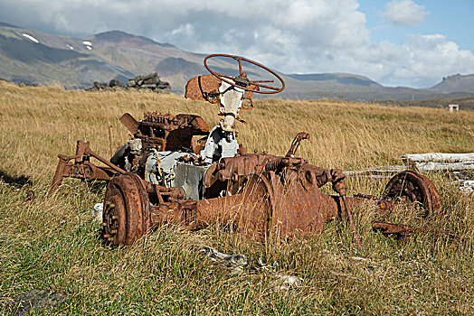 冰岛,残骸,拖拉机,高,草,生锈,轮胎,夏天