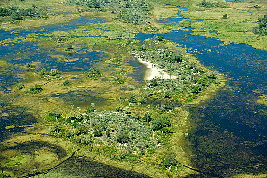 湿地,淡水,运河,岛屿,航拍,奥卡万戈三角洲,莫雷米禁猎区,博茨瓦纳,非洲