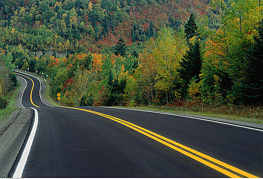 公路,佛罗伦国家公园,魁北克,加拿大