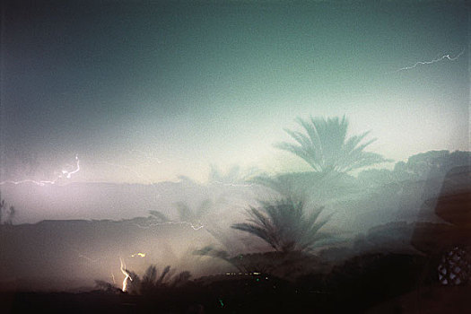 闪电,棕榈树,二次曝光