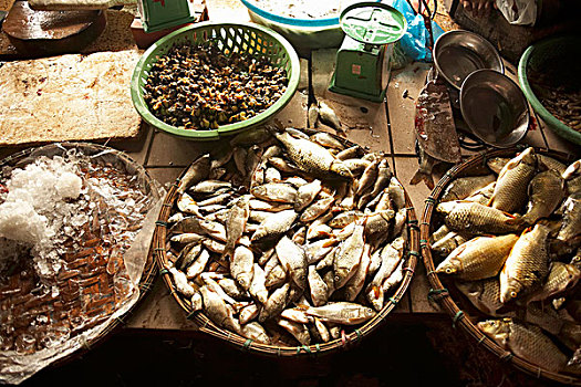 鱼市,色调,越南