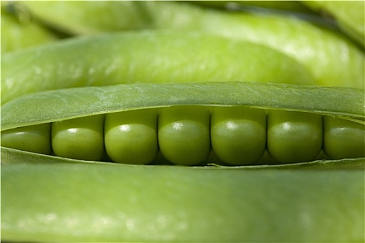 青豌豆