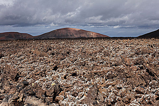 火山,熔岩原,苔藓,兰索罗特岛,加纳利群岛,西班牙,欧洲