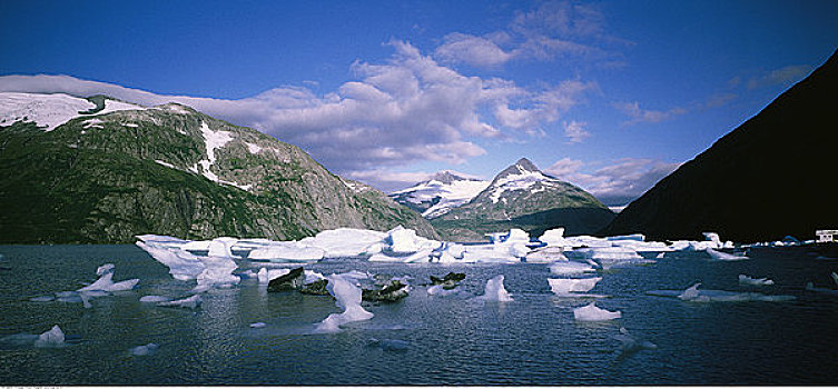 波蒂奇,冰河,湖,阿拉斯加,美国