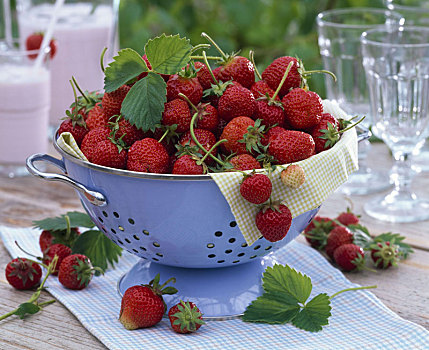草莓,新鲜,收获,滤器