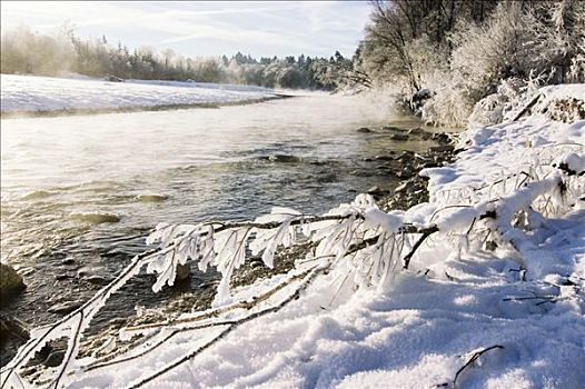 冰霜,白霜,伊萨尔河,靠近,沃尔夫拉策豪森,上巴伐利亚,德国