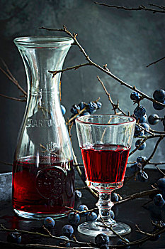黑刺李,葡萄酒,玻璃,玻璃瓶,嫩枝,背景
